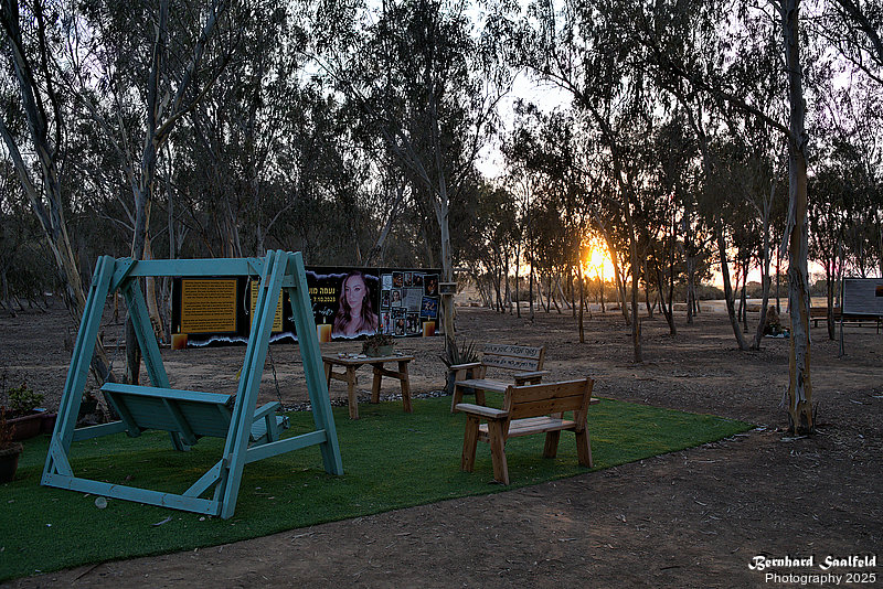 Bernhard Saalfeld - Nova (8v9)